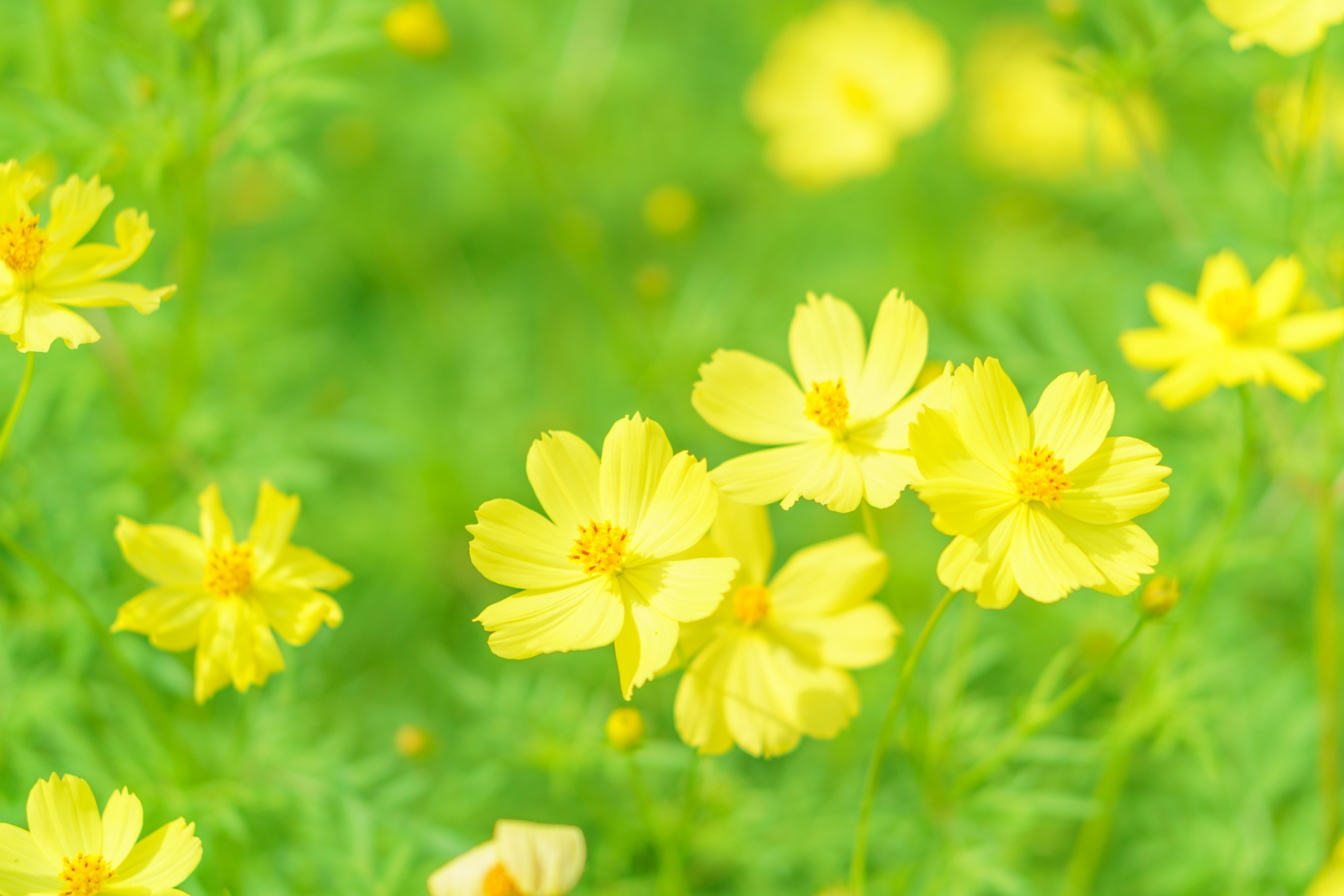よくわかる！生活保護制度と境界層措置について 医療・介護・障がい福祉の開業・運営なら乾行政書士事務所